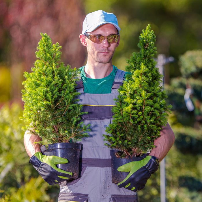 gardener-shopping-time-2021-08-26-23-04-22-utc-1.jpg gardener-shopping-time-2021-08-26-23-04-22-utc-1.jpg