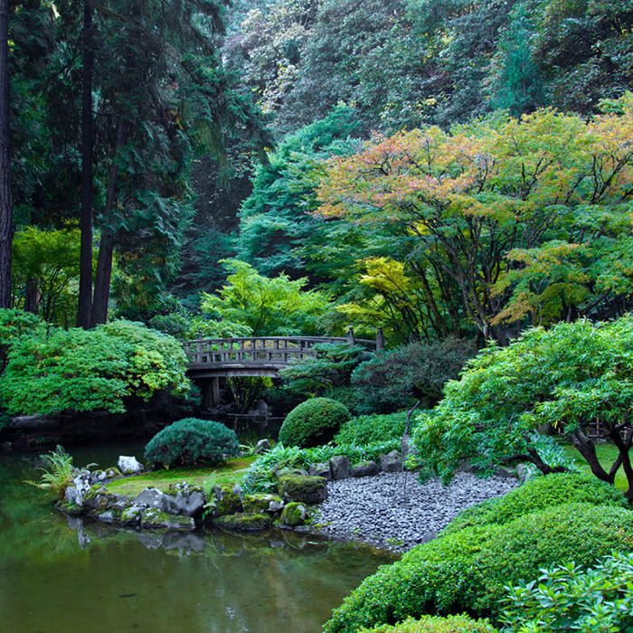 japanese-garden-2021-08-28-18-37-09-utc.jpg