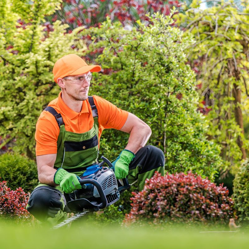 satisfied-gardener-in-a-garden-2021-08-26-23-04-56-utc-4.jpg